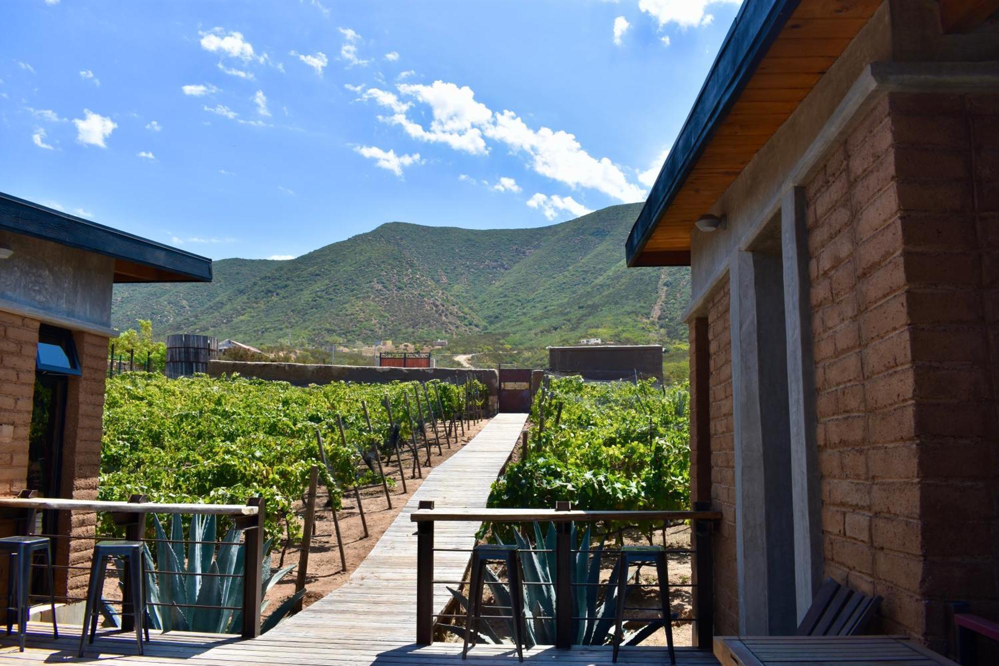 장크트 고아르스하우젠 Uvauva Eco-Retreat B&B 외부 사진